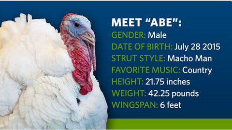 HAPPY THANKSGIVING DAY!